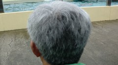 【お題日記】セフレとはどこで出会った？