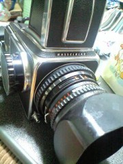 はっせるぶらっどに愛をこめて