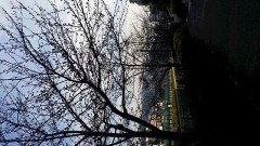 【お題日記】癒しを感じる時ってどんな時？