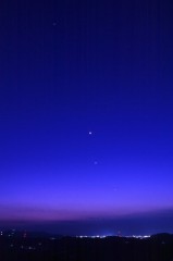 毛虫の皮膚炎が多いです。