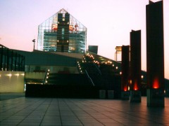 イレズミやアートメイクの除去は。。