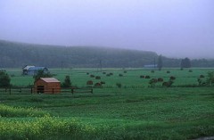 合コンしてました