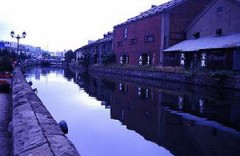 美白剤について