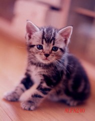 給料日でしたね。そして、ボーナスですね。