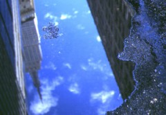 このサイトで出会った方と和食へ行ってきました・・