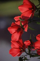 なにもないです。ホステスさんからのメールだらけで・・