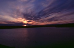 松茸食べにいってました。