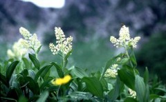 忙しかった。。