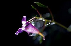 これから、セフレの学生さんと逢ってきます。。寿司屋に・・