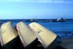 あしたは、唐揚げ弁当で・・・