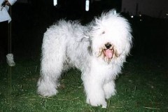 携帯換えました。