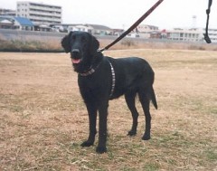 疲れた。買い物つかれ・・・