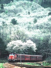 これから、初詣。