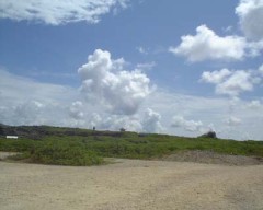 暖かいですね。