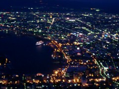 しだれ梅、いただきました。