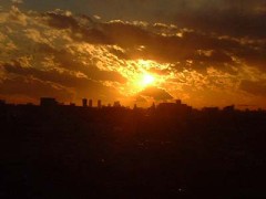 イタメシ行ってきました。