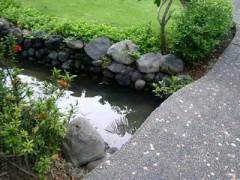 昼、たこ焼き食べました。ひさしぶりに、大ダコの・・