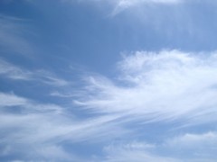 半袖でいけますね。