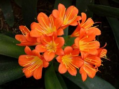 ロト６あたってました。