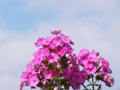 いい天気ですね。