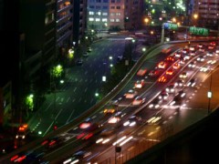 花冷えですね。