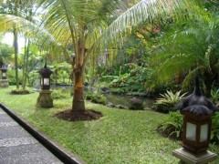 昼、オムライス食べました。。