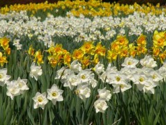 天気いいけど、寒いですね。