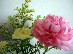 天気いいですね。