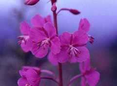 ミナミは人だらけ・・