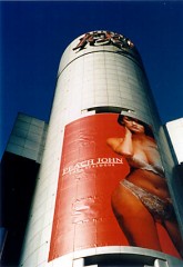 今日は、地震がゆるんではと心配してました。