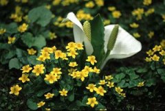 急に暑いよな・・