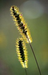 台風、たいへん