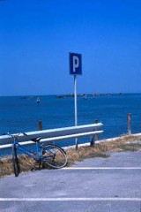 また、あたらしいお弁当箱、買いました。