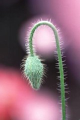 ユニクロでいろいろ買いました。