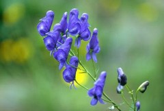 ２８度のクラー設定は、無理。