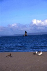 梅雨も終わりか？
