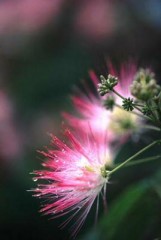 愛媛のポンジュースいただいて・・・