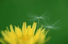 涼しいですね。