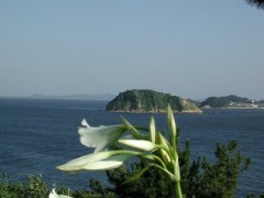 温泉行きたいな・・・