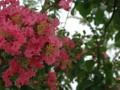 いい天気でした