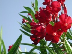 すごい天気になりそうです