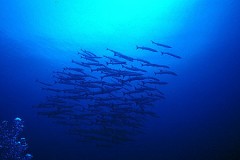 明日エグザエルのコンサートです・・