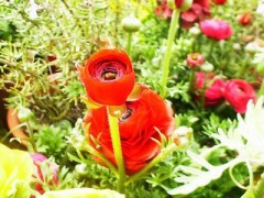 つかれた・・・