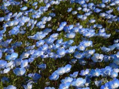 今週は雨ですね・・