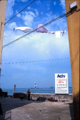 キョンキョンのライブいってきました。