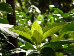これから大雨なんですね