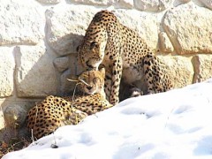 まだ、暑いね・・