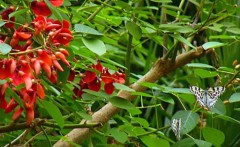 まだ、暑いね・・