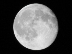 今日も月を撮ってみた