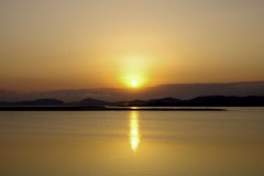 今日の釣りの釣果は